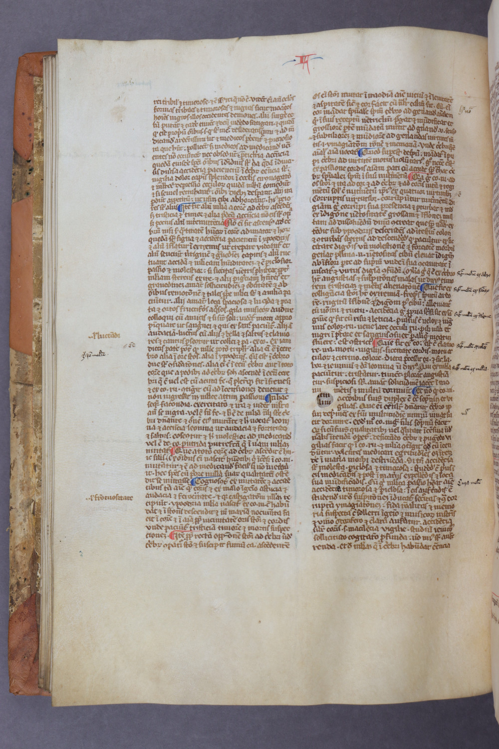 Folio 46 verso
